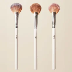 Dreambeam Highlighter
