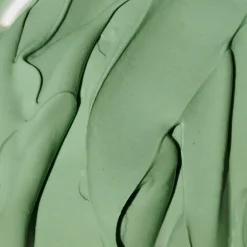 Expert Spirulina Cooling Modeling Mask