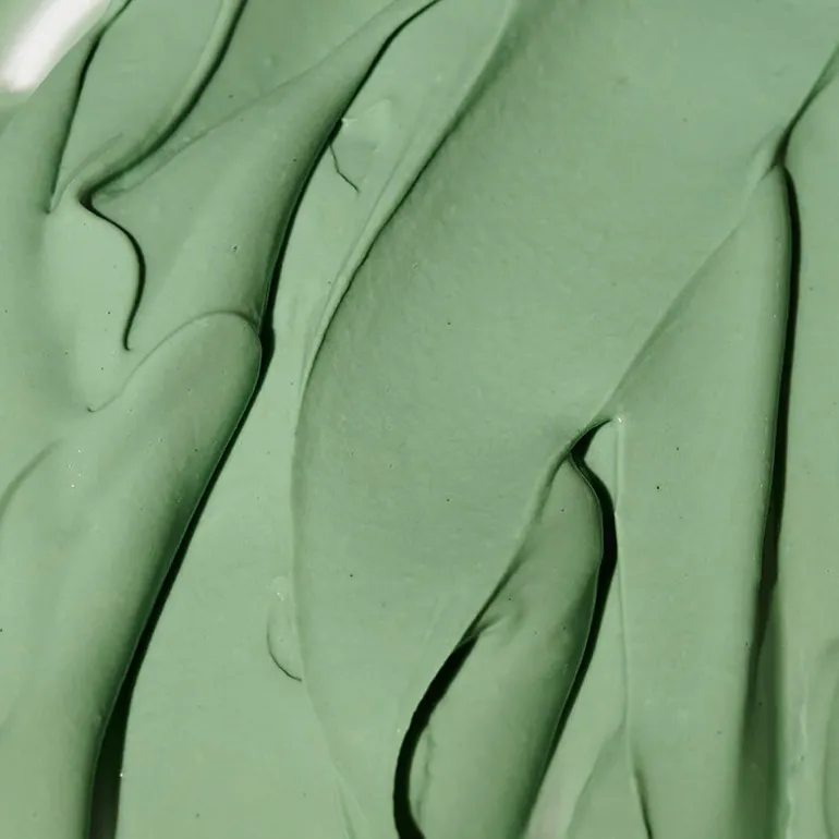 Expert Spirulina Cooling Modeling Mask