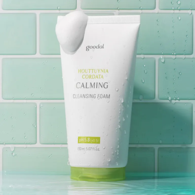 Houttuynia Cordata Calming Cleansing Foam