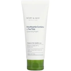 Houttuynia Cordata + Tea Tree Cleansing Foam