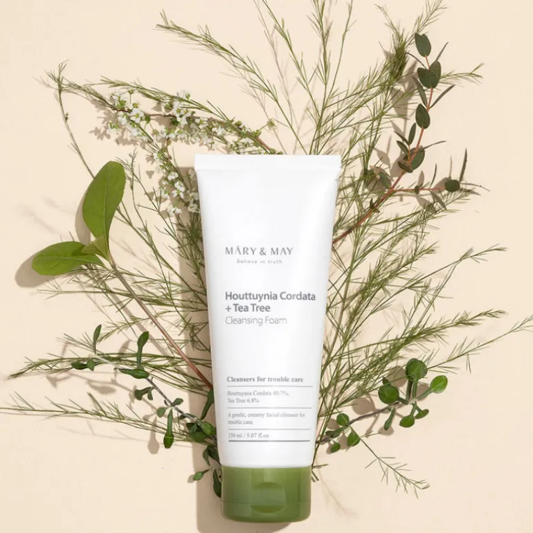 Houttuynia Cordata + Tea Tree Cleansing Foam