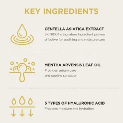 Madagascar Centella Watergel Sheet Ampoule Mask
