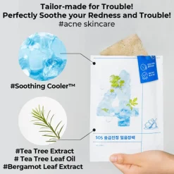 No.4 Icy Soothing Sheet Mask